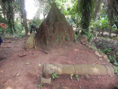 cannons and forts as sightseeing in Sierra Leone