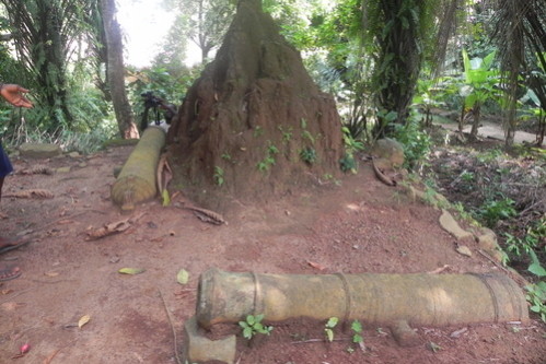 cannons and forts as sightseeing in Sierra Leone