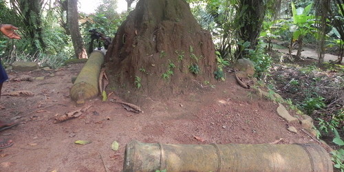 cannons and forts as sightseeing in Sierra Leone