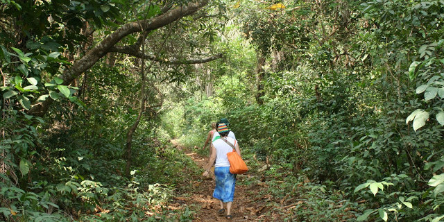 Guided walks in Sierra Leone’s tropical forest – Holiday Resort in ...