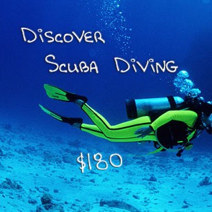diving training in Sierra Leone